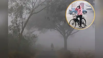 Rajasthan Weather: सर्दी के बीच शुरू होगा बारिश का दौर, कोहरा का भी रहेगा प्रकोप, मौसम ले रहा करवट