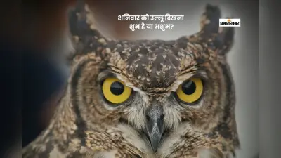 Saturday Beliefs: शनिवार को उल्लू दिखे तो घबराएं नहीं, जानें इसका सच