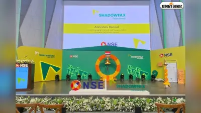 ग्रे मार्केट के दावे हुए फेल, जानिए शैडोफैक्स की सुस्त एंट्री के बाद क्या है एक्सपर्ट्स की राय?