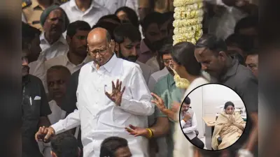 सुनेत्रा पवार बन सकतीं हैं महाराष्ट्र की पहली महिला डिप्टी सीएम, बोले शरद पवार– नो कमेंट