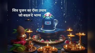 Shiv Mahapuran Remedies: शिवलिंग पर चावल चढ़ाने से क्यों होती है मां लक्ष्मी की कृपा? शिवमहापुराण का चमत्कारी रहस्य