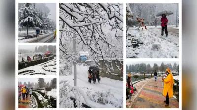 उत्तराखंड में नए साल का पहला हिमपात, फिर लौटी सर्दी, हर तरफ बर्फ की सफेद चादर, देखें तस्वीर