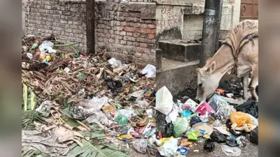Swachh Survekshan 2025: पटना में 85 कचरा प्वाइंट होंगे खत्म, इन स्कूलों व पार्कों में भी चलेगा विशेष स्वच्छता अभियान