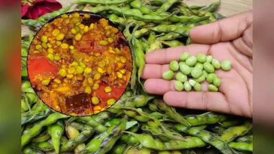 Toor Dana Sabji Recipe: दादी-नानी की रसोई से सर्दियों की खास तूर दाना की सब्जी रेसिपी
