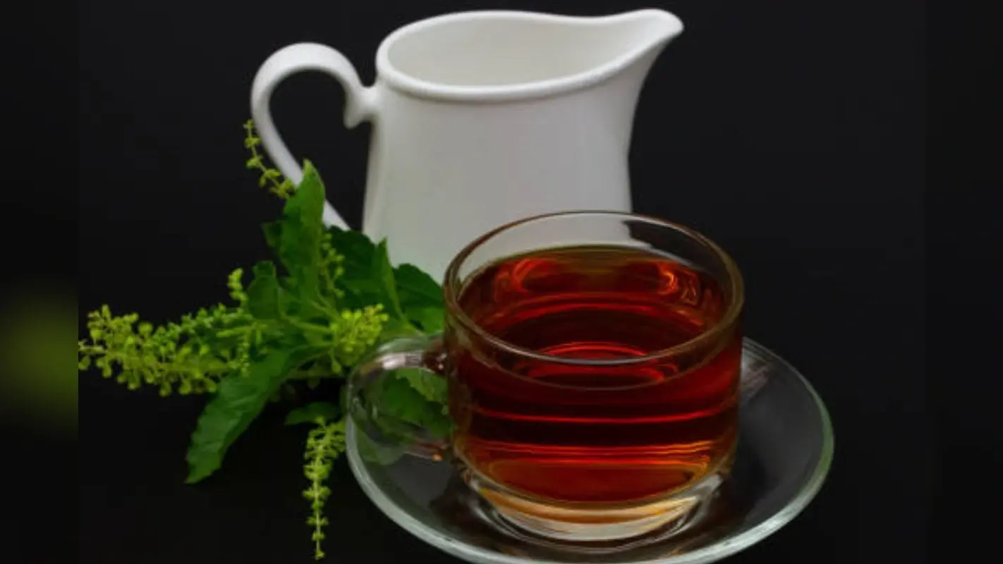 Tulsi Ka Pani Pine Ke Fayde: कई समस्याओं का समाधान है तुलसी का पानी, जान लें इसके फायदे