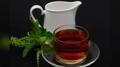 Tulsi Ka Pani Pine Ke Fayde: कई समस्याओं का समाधान है तुलसी का पानी, जान लें इसके फायदे