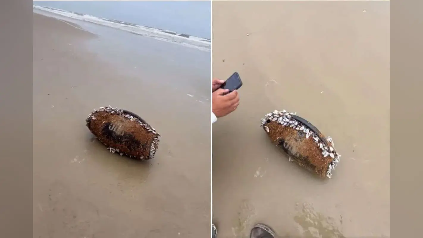 Viral Video: 3 महीने समुद्र में रहने के बाद भी JBL स्पीकर से बज रहा था गाना, वीडियो देख सोशल मीडिया यूजर्स रह गए दंग