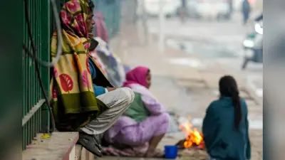 Rajasthan Weather: राजस्थान में कड़ाके की ठंड, 31 से 1 फरवरी के दौरान बारिश की संभावना