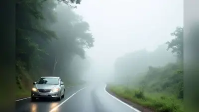 उत्तर बंगाल में घने कोहरे का साया, अगले 7 दिनों तक कैसा रहेगा मौसम? जानें IMD का ताजा अपडेट