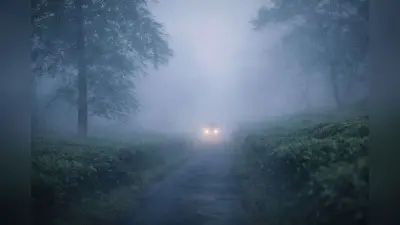 11 जनवरी को बंगाल में कड़ाके की ठंड और घने कोहरे का अलर्ट, जानें आपके जिले का हाल