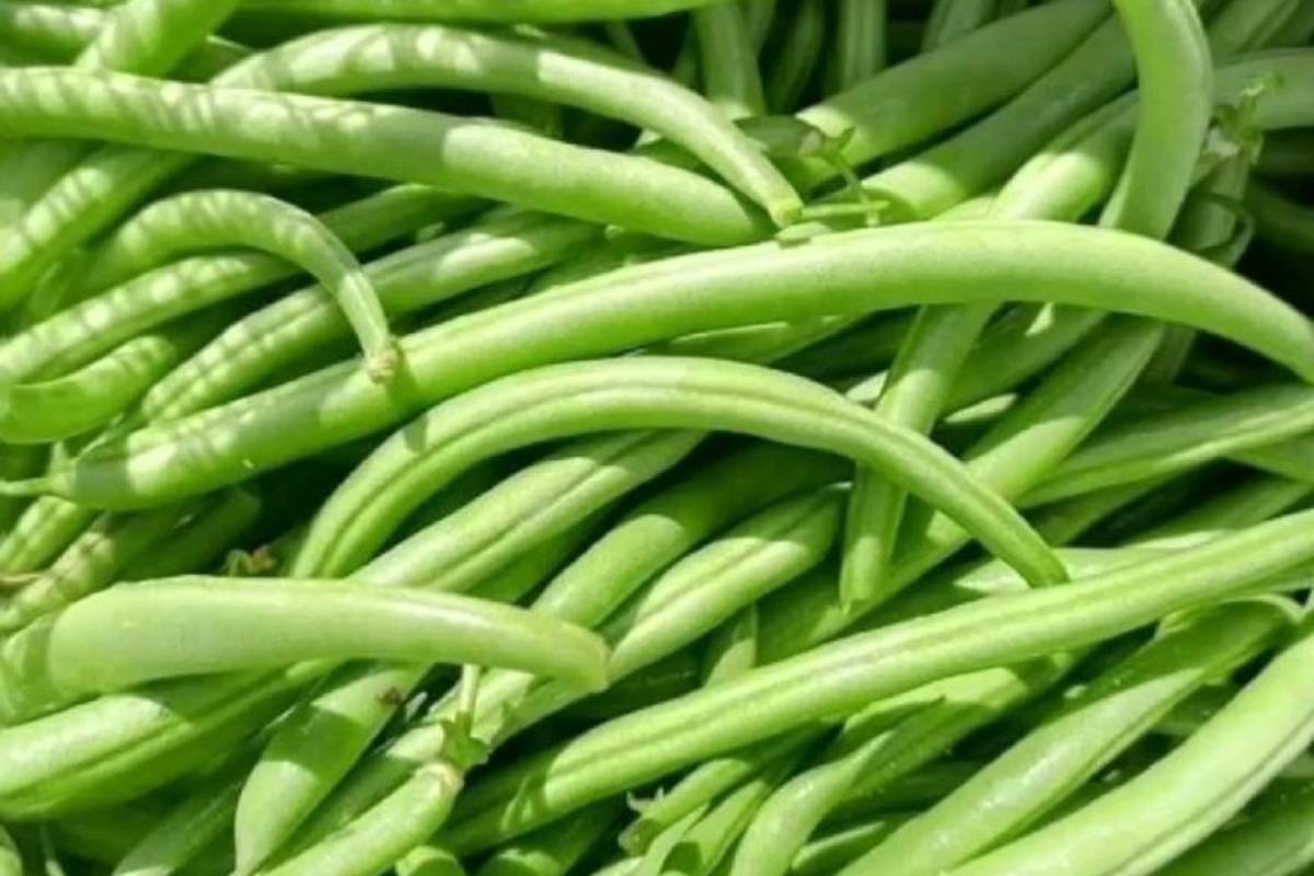 French Beans