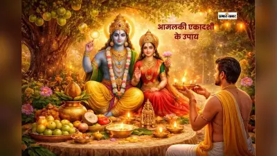 आमलकी एकादशी पर करें ये आसान उपाय, बढ़ सकती है सुख-समृद्धि