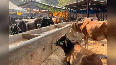 अब पशुओं का होगा सटीक इलाज,पशु चिकित्सालयों में लगेंगी एक्स-रे और अल्ट्रासाउंड मशीनें