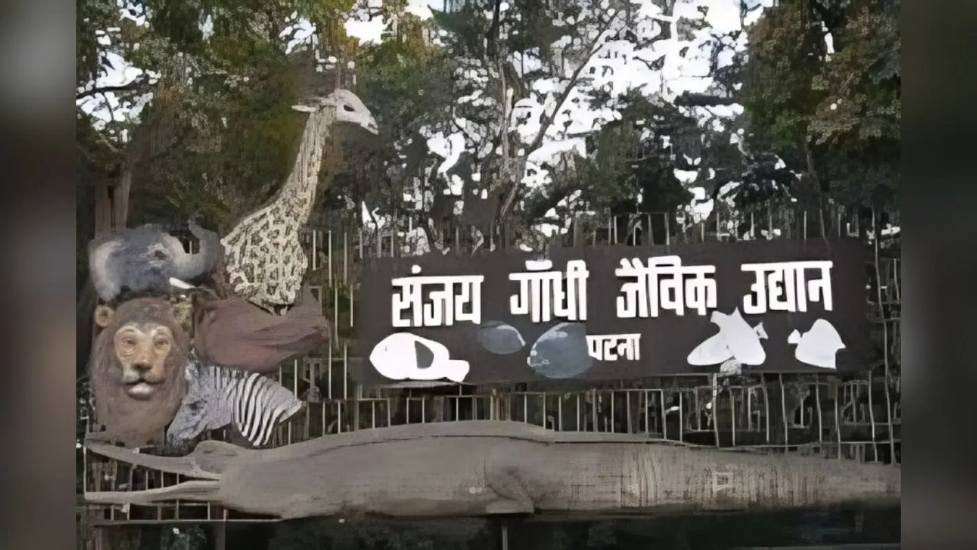 Bihar News: पटना जू हाई अलर्ट पर, बर्ड फ्लू के डर से बदला जानवरों का मेन्यू, एंट्री गेट पर जूतों की सख्त जांच