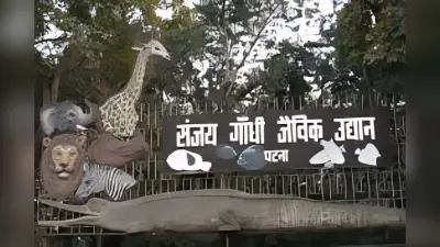 Bihar News: पटना जू हाई अलर्ट पर, बर्ड फ्लू के डर से बदला जानवरों का मेन्यू, एंट्री गेट पर जूतों की सख्त जांच