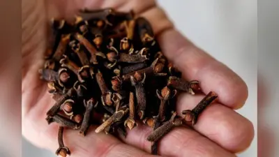 आधे से ज्यादा लोग नहीं जानते लौंग खाने का सही तरीका – क्या आपको है पता?