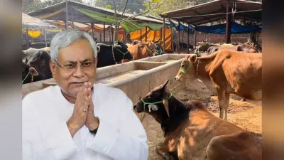 बिहार के पशुपालकों का बढ़ेगा इनकम, सरकार ने दो साल के लिए बनाया प्लान