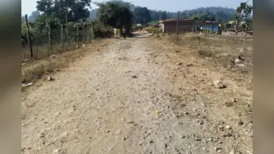 Chatra: वन विभाग ने नहीं दिया एनओसी, पूरा न हो सका नावाडीह-सिलदाग सड़क का निर्माण कार्य