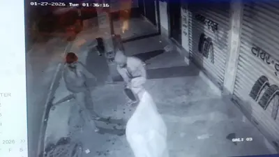 Bokaro News : गाय की चोरी, सीसीटीवी में दिखे चोर