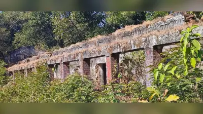 डुमरदगा में टीचर ट्रेनिंग कॉलेज 35 वर्षों से है बंद