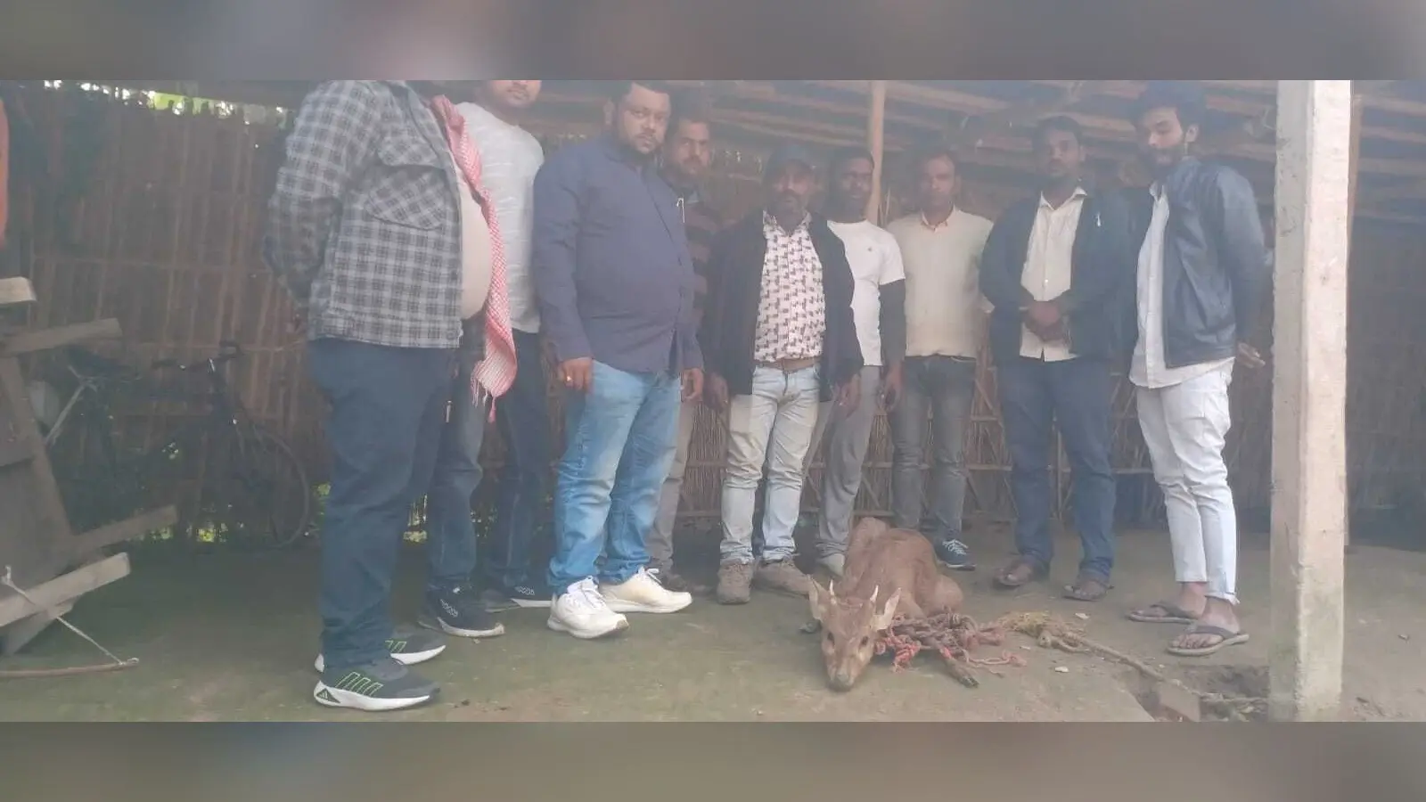 नेपाल से भटककर सुपौल पहुंचा जंगली हिरण, ग्रामीणों ने सुरक्षित रेस्क्यू कर वन विभाग को सौंपा