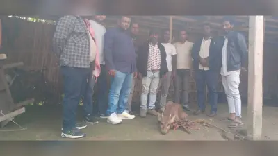 नेपाल से भटककर सुपौल पहुंचा जंगली हिरण, ग्रामीणों ने सुरक्षित रेस्क्यू कर वन विभाग को सौंपा