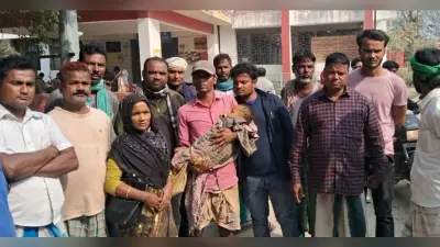 नाले में गिरने से तीन वर्षीय मासूम की मौत, गांव में मातम