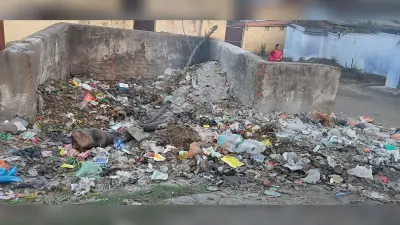 Bokaro News : मुहल्लों में ठीक नहीं है सफाई की स्थिति