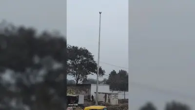 मोहनिया शहर के चार प्रमुख स्थान हाइमास्क लाइट से होंगे जगमग