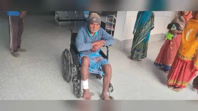 मशीन से पेड़ काटते समय मजदूर का कटा पैर, हालत गंभीर, रेफर
