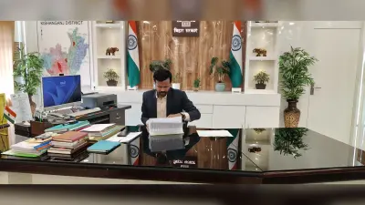 एक माह से अधिक पुराने मामलों के करें त्वरित निष्पादन : डीएम