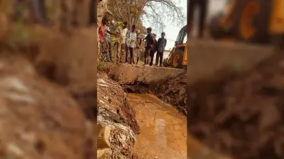East Singhbhum News : हर साल यही कहानी, जिम्मेदारों की अनदेखी से आफत में किसानी