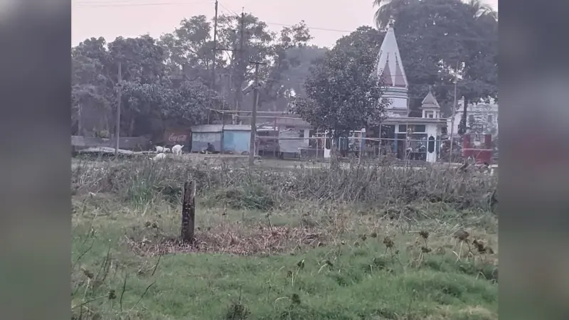 सार्वजनिक पोखर का जी राम जी योजना से जीर्णोद्धार करने की मांग