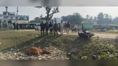 दो किलो गांजा के साथ तस्कर गिरफ्तार