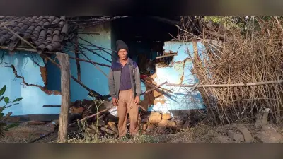 हाथी ने घर को किया क्षतिग्रस्त