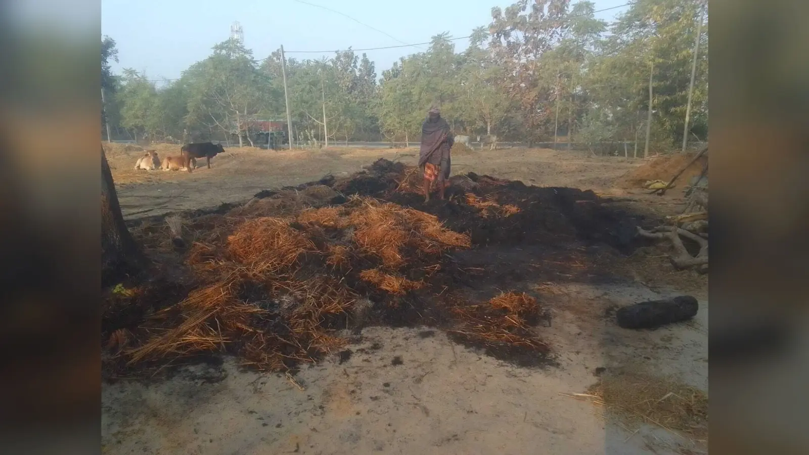 खलियान में लगी आग, धान व पुआल जलकर राख