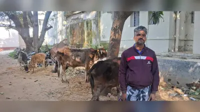 मवेशी व्यापारी से रंगदारी का 46 हजार वसूलने वालों के विरुद्ध प्राथमिकी, एक गिरफ्तार