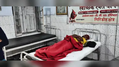 Giridih News :कोयला चोरों ने की हाइवा चालक की पिटाई