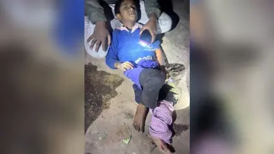 Bokaro News : हाथियों ने ली दादा-पोते की जान, दो बच्चे व महिला घायल