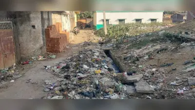 लीड : नाले की नहीं होती सफाई, पेयजल की है समस्या
