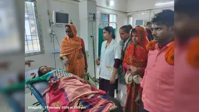 दस वर्षीय बालक को कुत्ता ने काटकर किया जख्मी