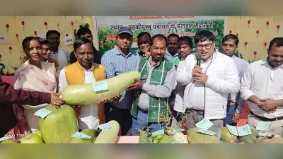 Bokaro News : गोमिया प्रखंड के 75 किसानों को किया गया पुरस्कृत