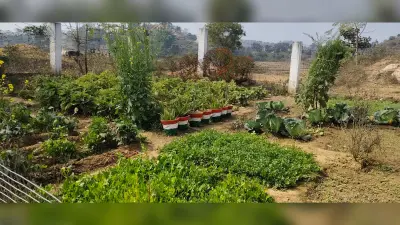 Giridih News :उमवि गोरियांचू बना विद्यालयों के लिए प्रेरणास्रोत्र