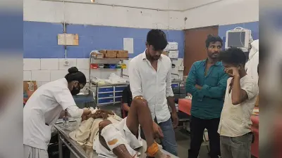 पिकअप के धक्के से साइकिल सवार वृद्ध घायल