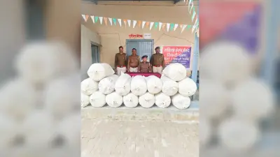522 किलो गांजा जब्त, तस्कर फरार