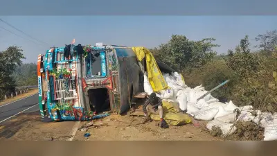 अलग-अलग हादसों में चालक-खलासी घायल, दो मवेशियों की मौत