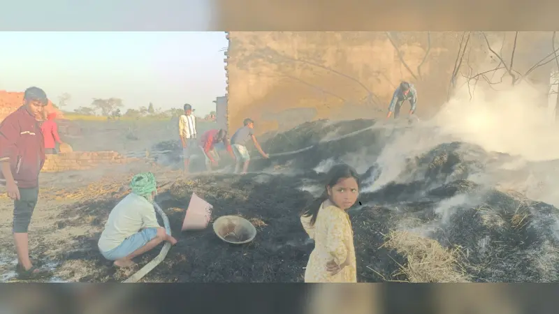 -खलिहान में फेंका जलता सिगरेट, बिचाली जली
