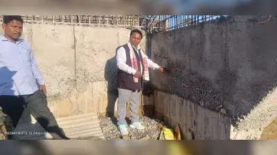 पुल निर्माण कार्य का विधायक ने किया निरीक्षण