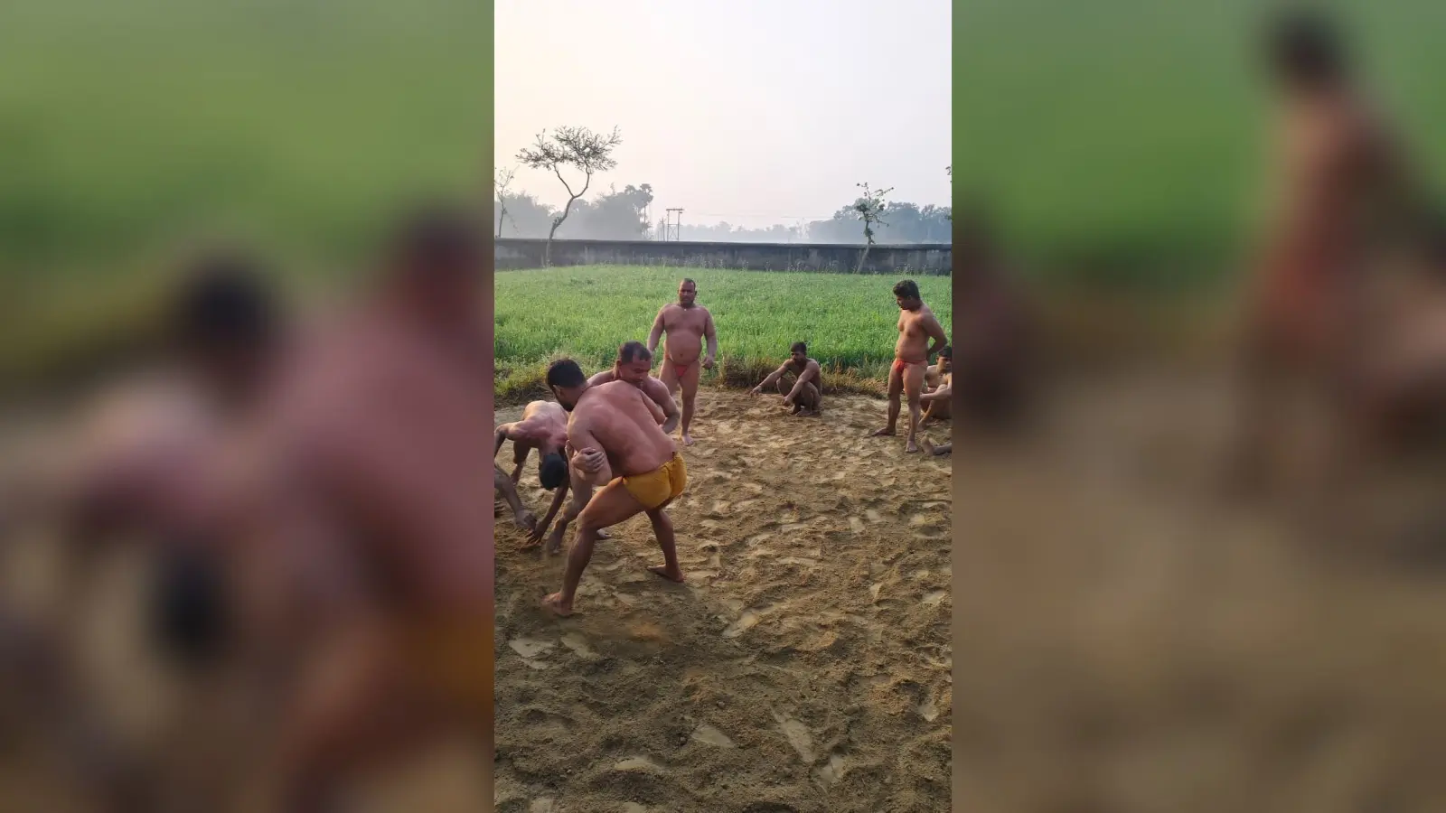 रोहियार में पीढ़ी दर पीढ़ी कुश्ती है संस्कार, दंगल है परंपरा