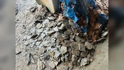 Giridih News :तिसरी प्रखंड में थम नहीं रहा माइका तस्करी का धंधा